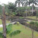 A park viewed from the wall