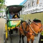 The driver was drunk