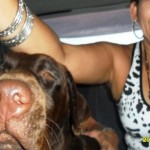 02 Between the seats