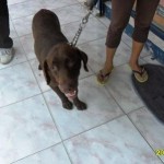 03 in front of the Vets Office and not happy