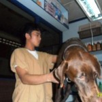 06 It's the eyes, the eyes Doc