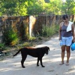 11 On a walk the next day