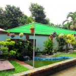 09 See the offending plant in the left forefront