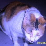 She can sleep while walking