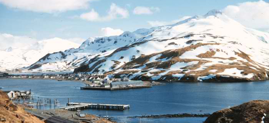 Sunny Dutch Harbor in the spring