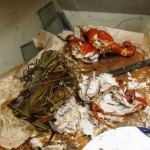 The end of the Lechon Baboy