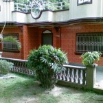 02 New Tile front 2010 Note the PINK is missing