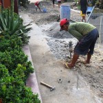 Busting up my sidewalk