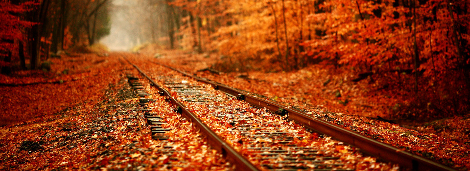 Autumn - In the Philippines?