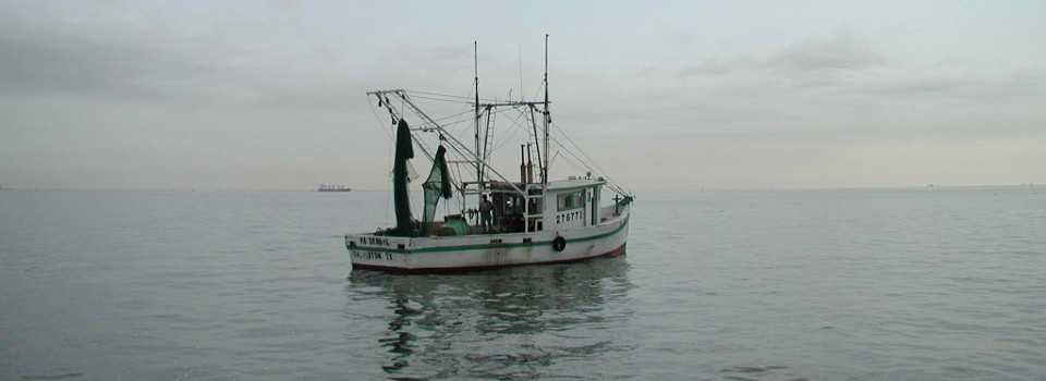 Gulf Shrimp-Boat
