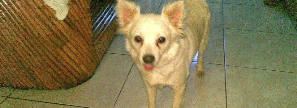 No one said they had to be cute