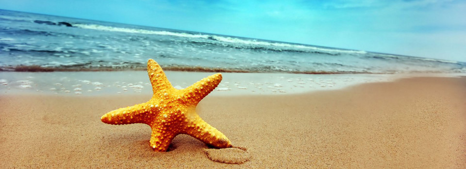 The summer of our Philippine lives