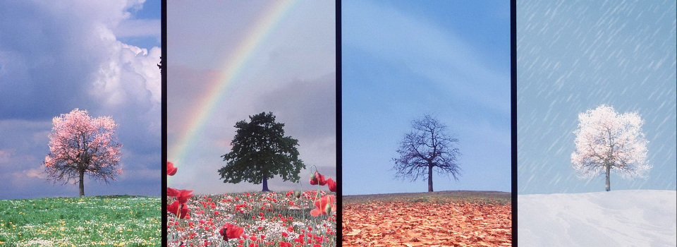 I have experienced all four seasons in the Philippines