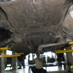 The new recruit at work