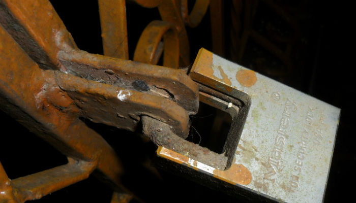 Cut them and replace them