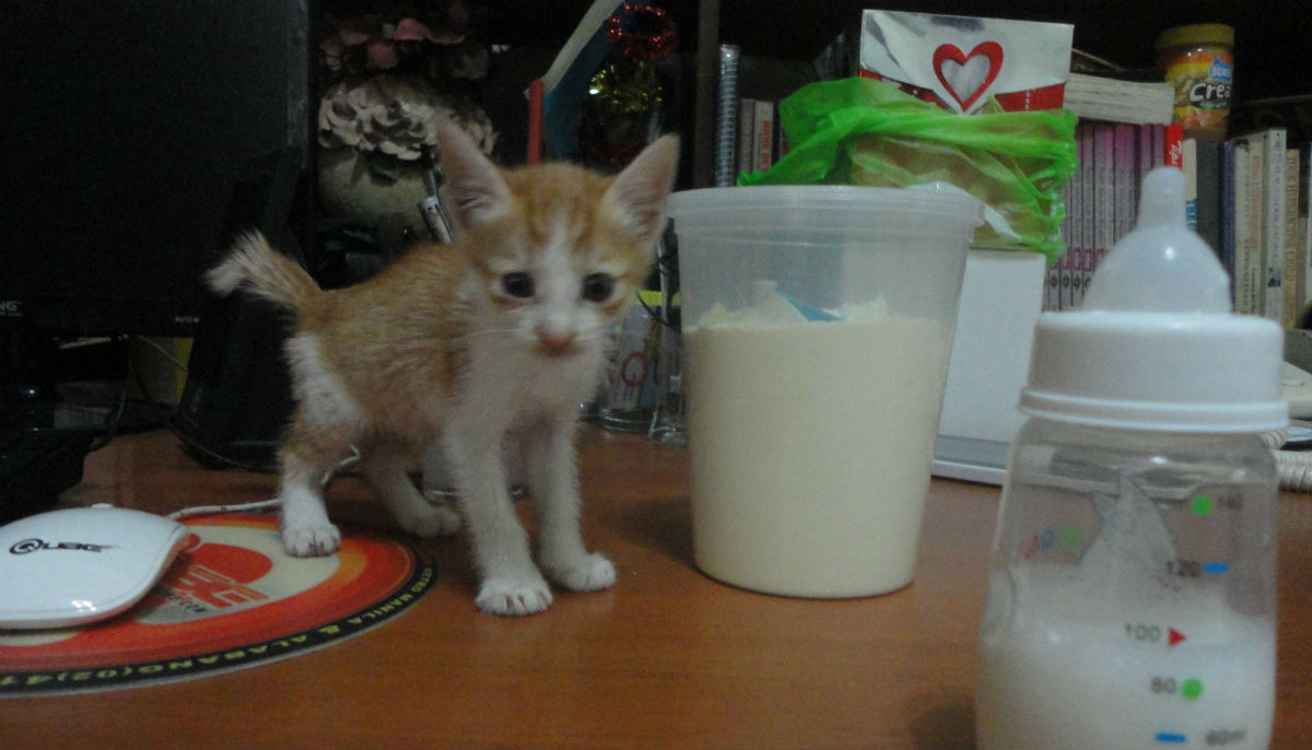 Baby Blue, just a tiny baby!