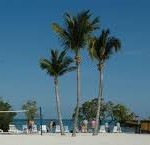 Isn't this the life we're looking for