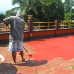 05 Next roll on Roof shield Paint