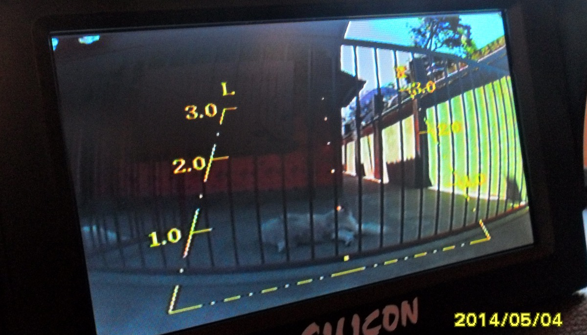 View from the dashboard