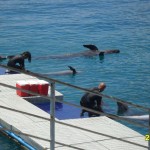 11 Ocean Adventure Subic