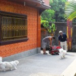 Taking a break while removing the Honda