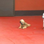 Waiting for the 1st storm