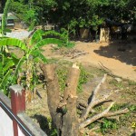 Yeah it's been trimmed