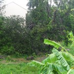 On the far left is what's left of the Sari-sari