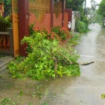 Where the debris goes I'll never ask