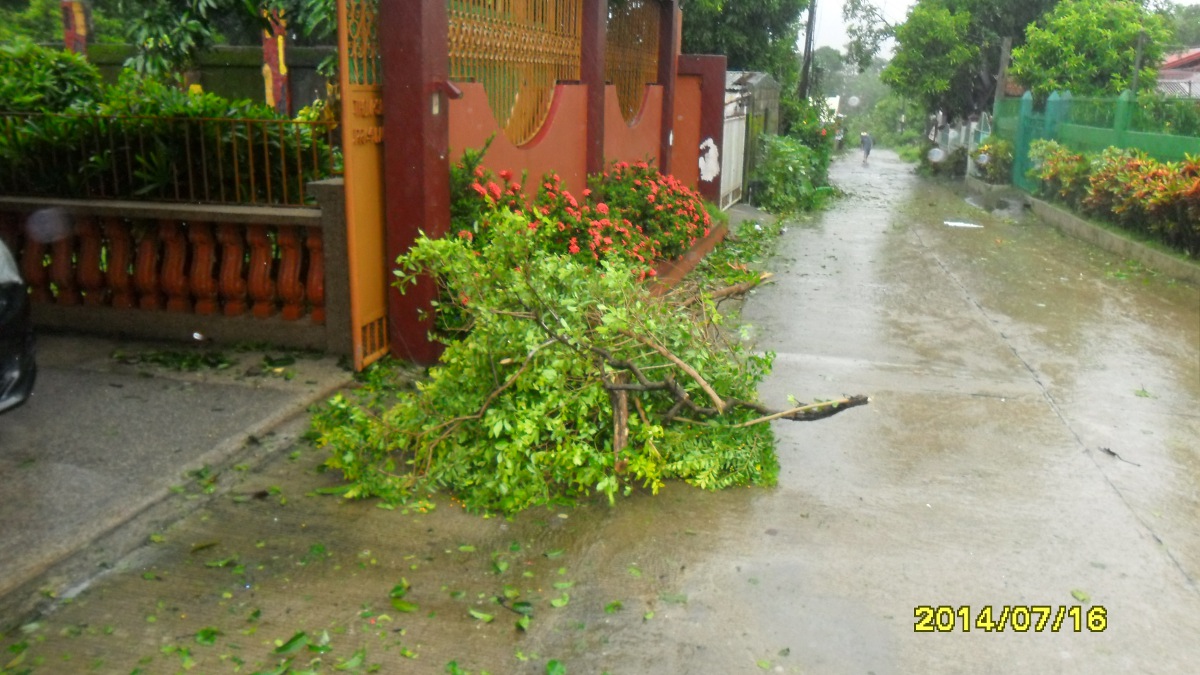 Where the debris goes I'll never ask