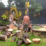 Bring in the chainsaw as the last resort