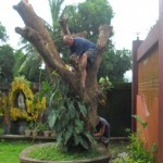 Cutting it by hand tools