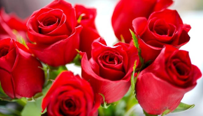 Flowers from WowPhilippines