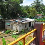 01 First the roosters, now the house.