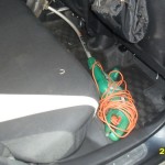 On the way back home