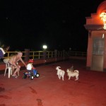 First time on the roof