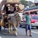 Like the circus has come to town