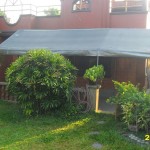 Sometimes she wants it in the front of the house