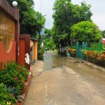 My street after the first rain
