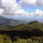 El Yunque Rain Forrest