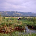 My son-in-laws farm in Subic valley