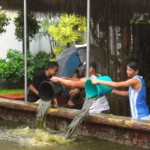Pond GUYS bailing the fish pond
