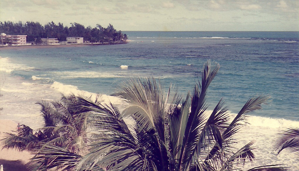 The beach from my Condo