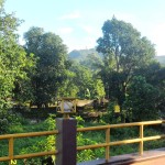 Can you see the cell towers