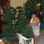 The tree is going up in November