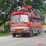 Mini bus great way to see the sights