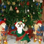 The 2015 tree, looks a little like the 2014 tree.