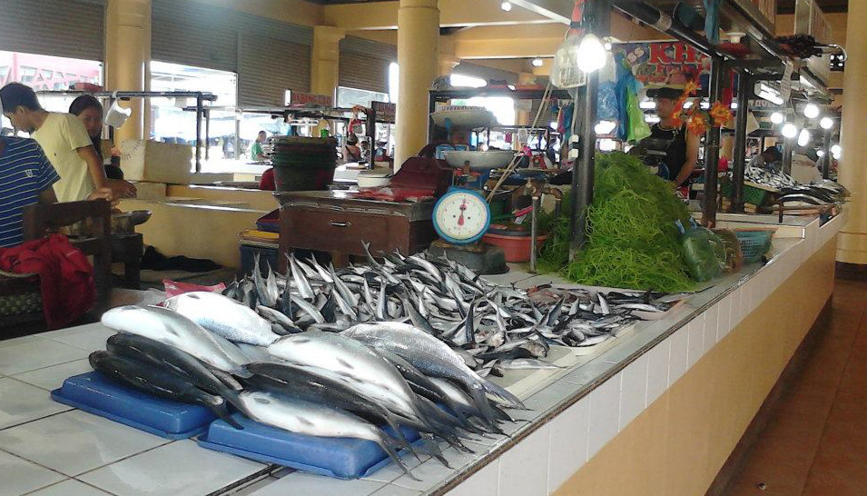 Beautiful clean fish display