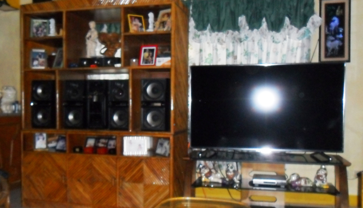 04 58 In. Replacement Smart TV