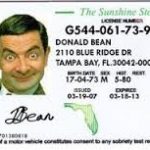 Deivers License from Florida